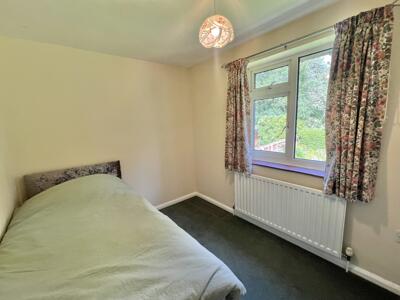 Picture 22